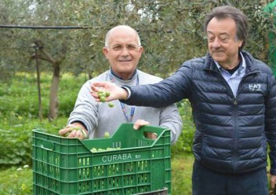 Gabiette di olive, Curaba e Di Benedetto