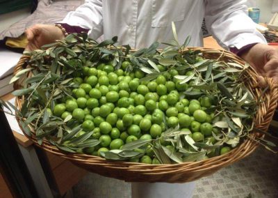 Cesto di olive